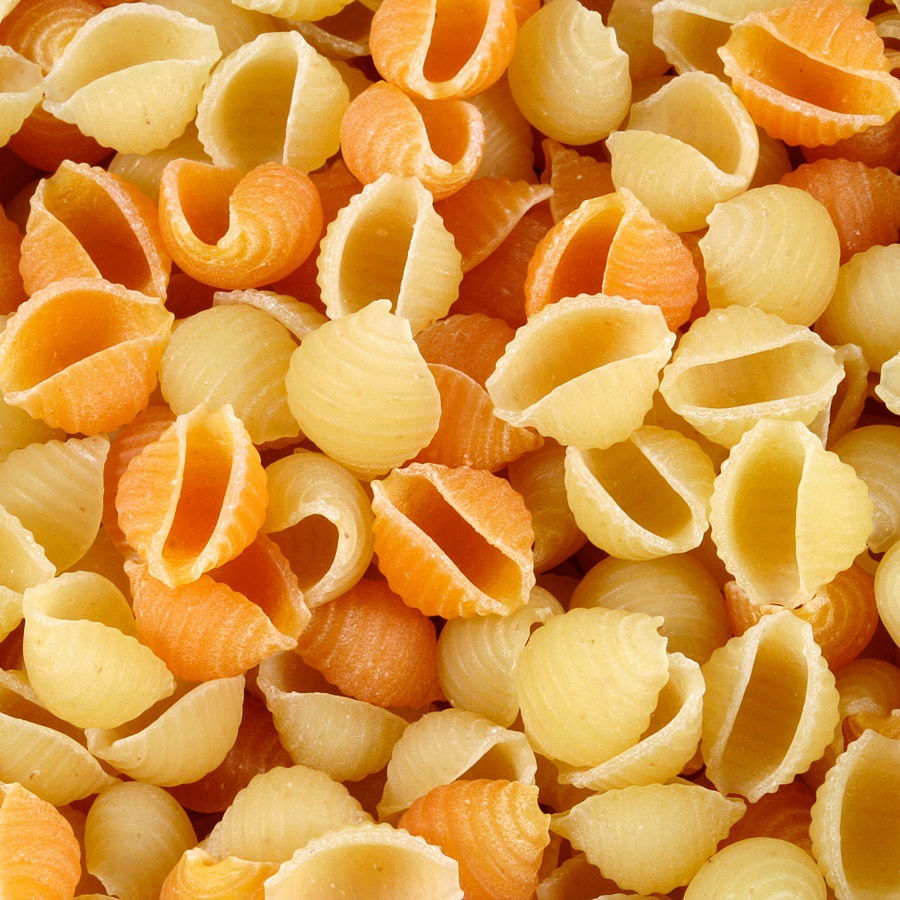 Makaron conchiglie