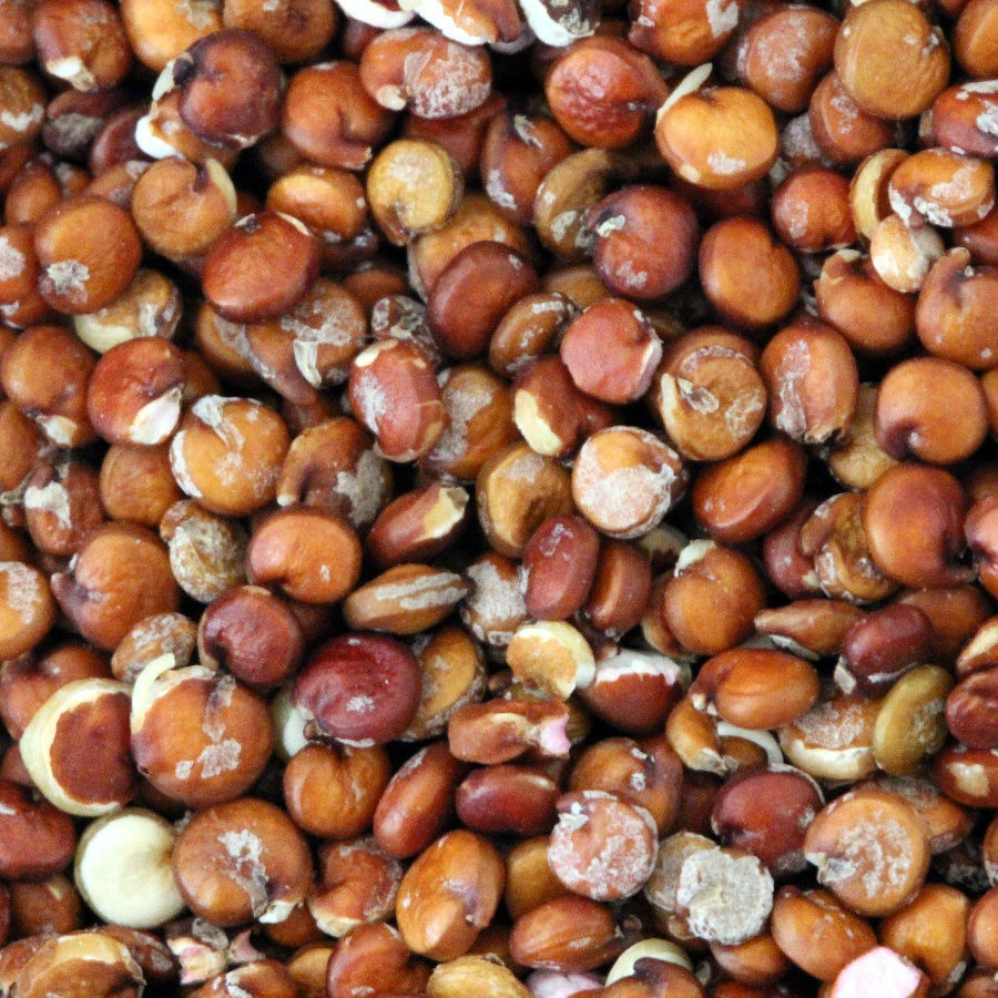 Kasza quinoa